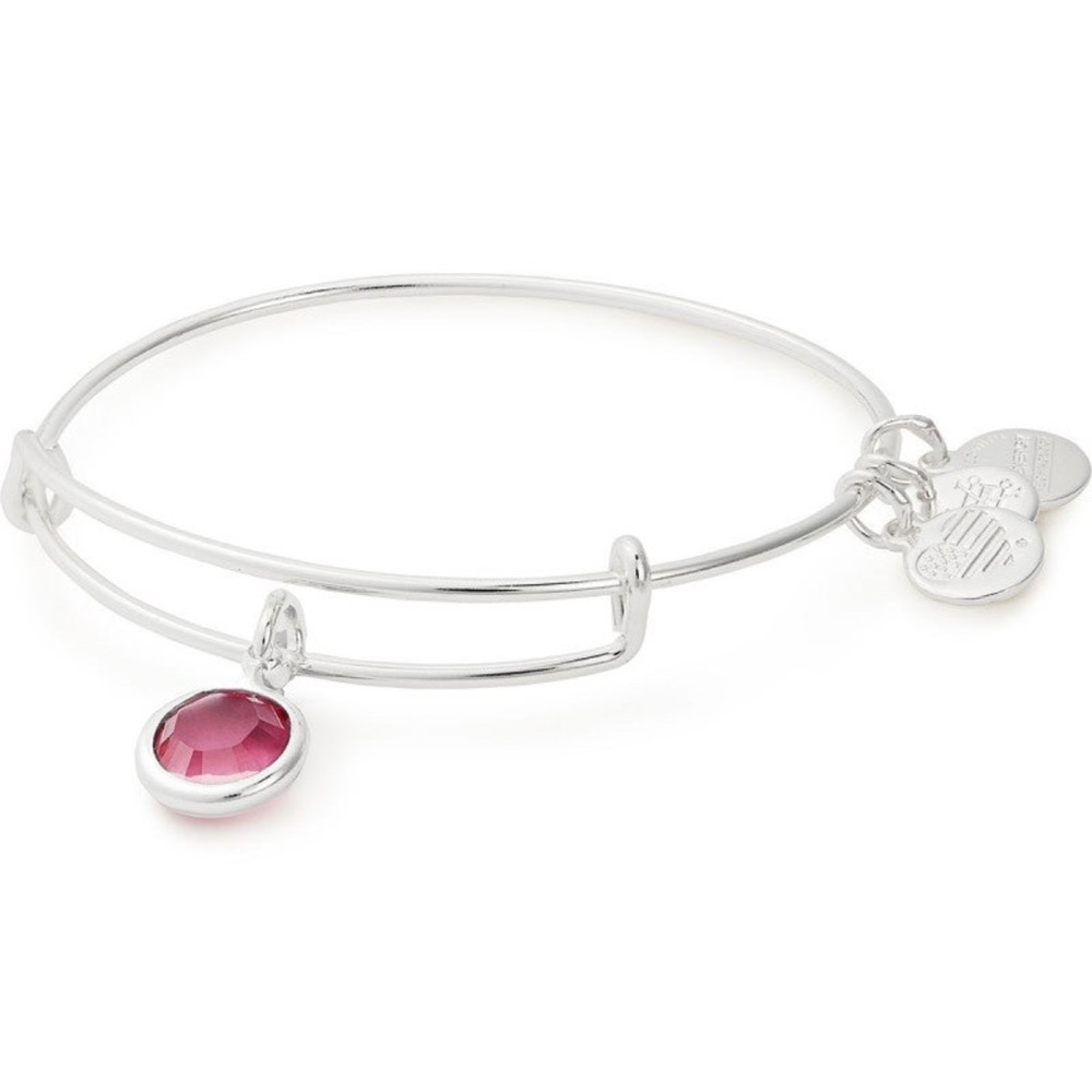 Alex & Ani Rose Swarovski® October Pink Tourmaline Birthstone Charm Bangle